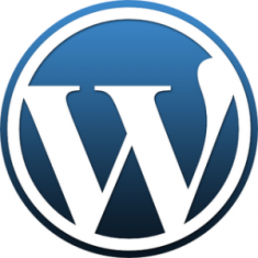 Wordpress logga